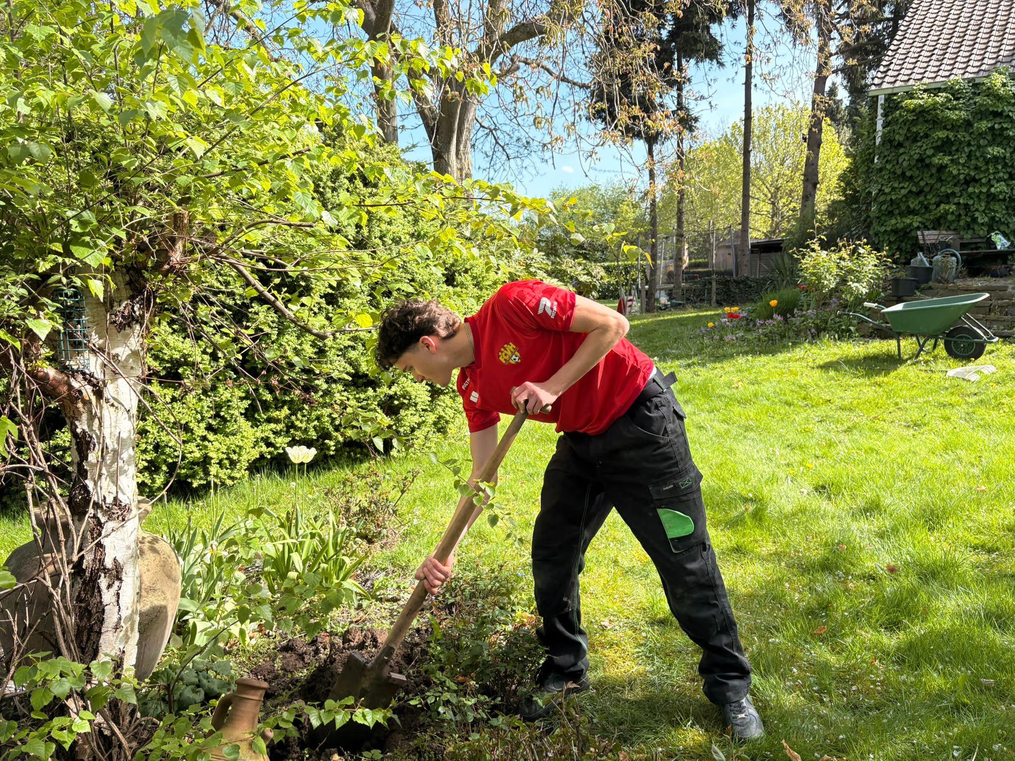 Garden help image